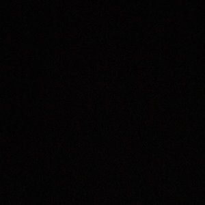 Meet your Posher, Lavina